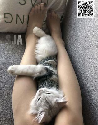 国产av躁一二三区免费播放_BD超清免费观看